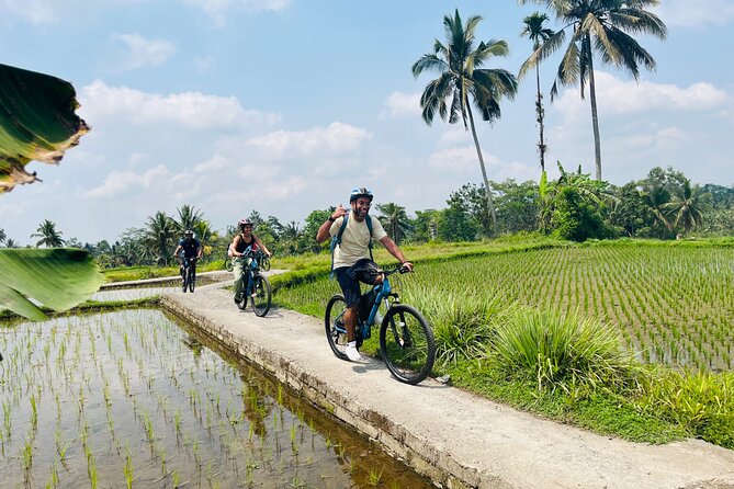 Ubud eBikes Tour to Tegallalang Rice Terrace - E-bike comfort, battery confidence, and safety