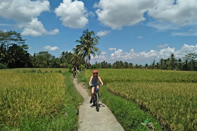Ubud Eco Culture Cycling Exploration - Key highlights worth aiming for