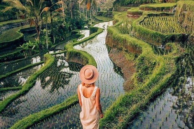 Ubud Explorer Private Day Tour - Pickup, A/C Comfort, and How Transport Shapes Your Day
