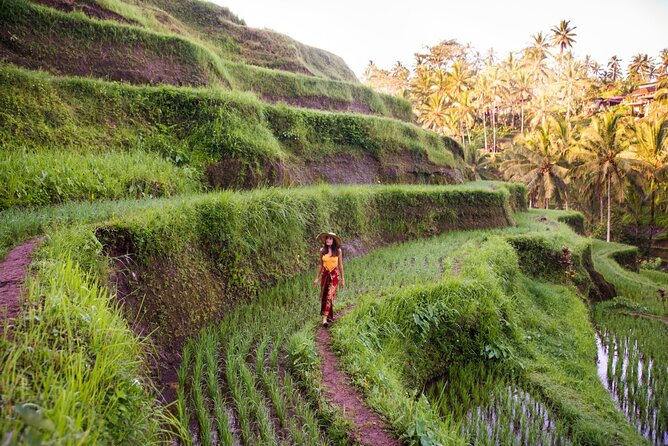 Ubud Full Day ATV Adventure with Rice Terrace and Temple Ritual - Who this tour is best for, and who should think twice
