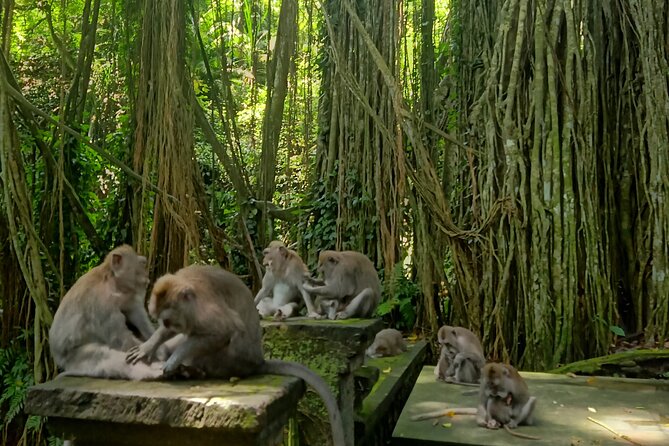 Ubud Guided Tour Monkey Forest, Waterfall, Temple & Rice Terrace. - Ubud Palace: Royal Courtyards and Nearby Art Market Time