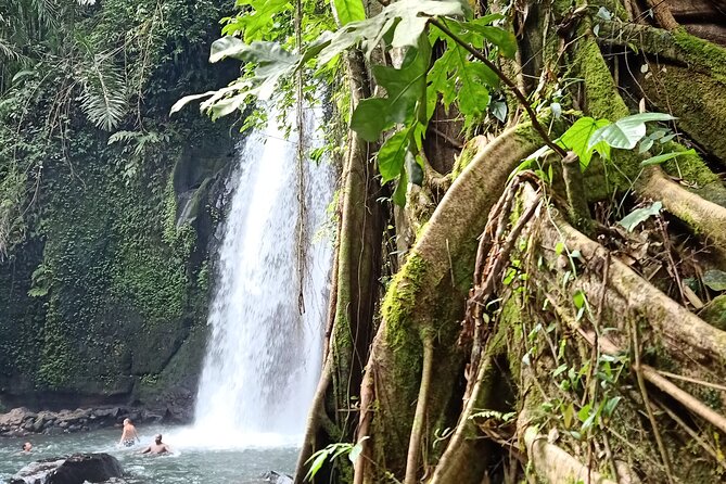 Ubud Half Day Zipline and Jungle Swing - Fly-Dress Photo Moment: Pay Extra or Pass It Up