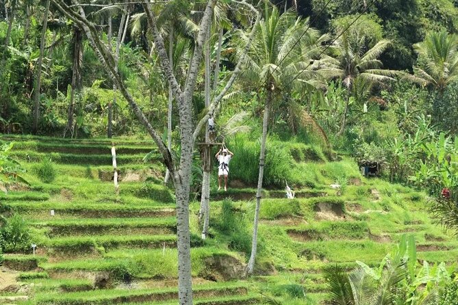 Ubud Half Day Zipline and Jungle Swing - Coffee and Tea After the Thrills, a Nice Downshift