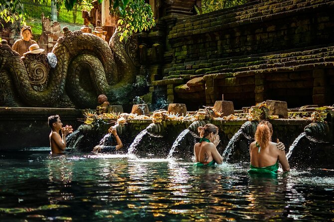 Ubud Highlight: Best of Ubud Private Day Tour with Local Guide - Sacred Monkey Forest Sanctuary, 60 minutes with long-tailed macaques