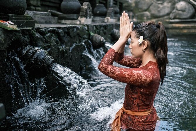 Ubud Highlights Rice Terraces, Temple, Waterfall & Monkeys forest - Key Things You’ll Notice On This Ubud Highlights Route