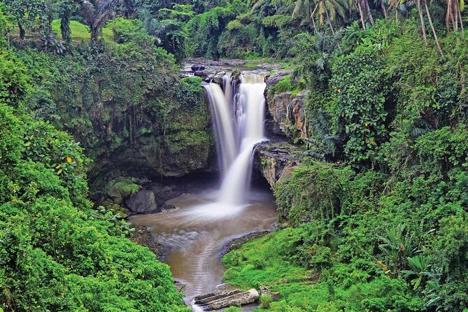 Ubud Highlights Rice Terraces, Temple, Waterfall & Monkeys forest - Ubud Palace, Traditional Balinese Architecture and Royal History