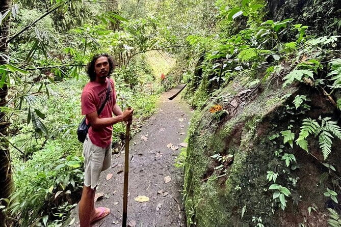 Ubud Highlights Shared Tour – Small Group Full-Day Experience - Rice Terrace Walks at Tegalalang: more than a pretty view