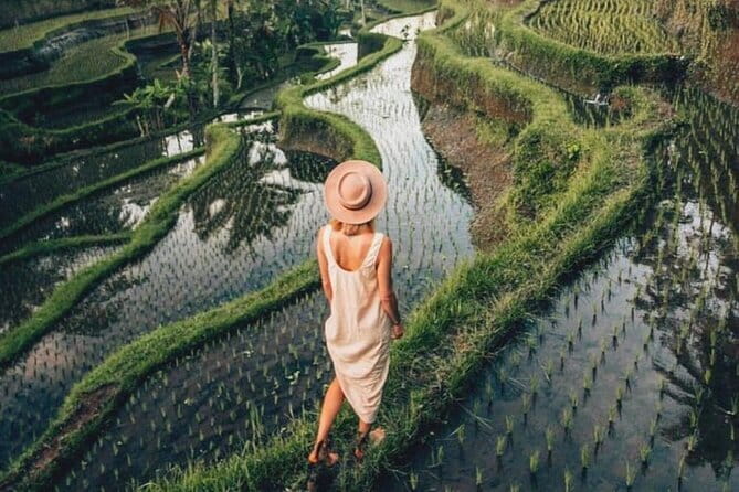 Ubud Highlights Shared Tour – Small Group Full-Day Experience - Umah Bali Kuno coffee stop: architecture, daily life, and taste
