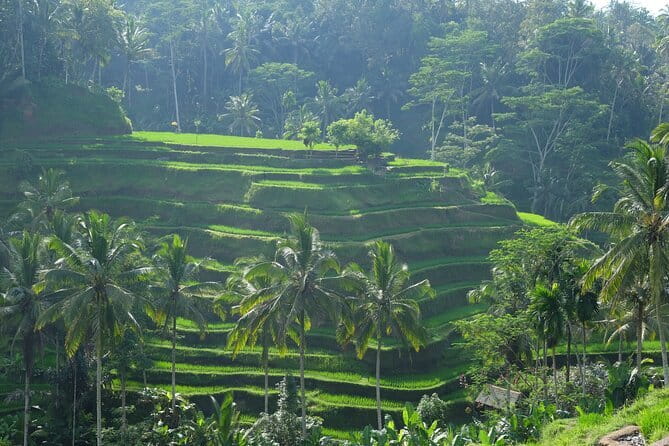 Ubud Highlights Tour ( Private All-Inclusive ) - Celuk, Mas, and Batuan: the craft belt of Ubud