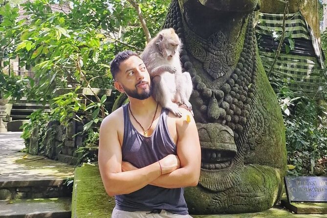 Ubud Higlights Full Day Tour - Private Tour Experience - A private Ubud highlights day, built for big variety