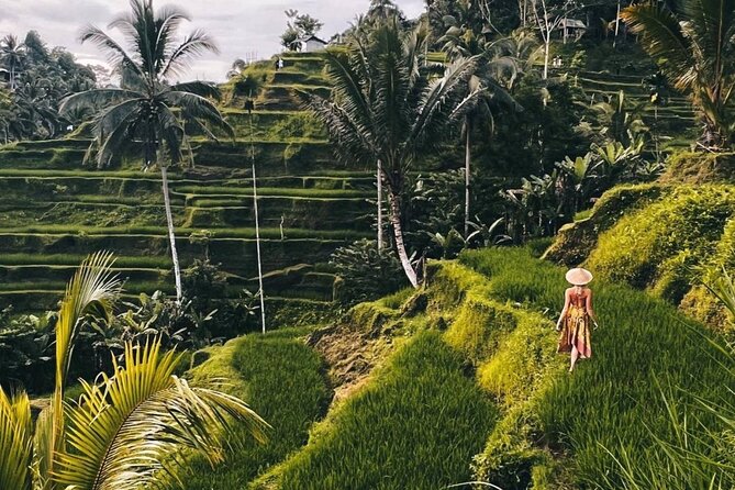 Ubud Higlights Full Day Tour - Private Tour Experience - Tegenungan Waterfall: dramatic photos and time to cool off
