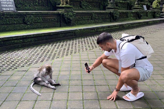 Ubud Higlights Full Day Tour - Private Tour Experience - Tegalalang Rice Terrace: step-by-step scenery with Tri Hita Karana and Subak