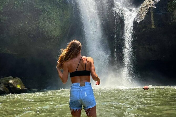Ubud Higlights Full Day Tour - Private Tour Experience - Sacred Monkey Forest Sanctuary: seeing hundreds of wild monkeys up close