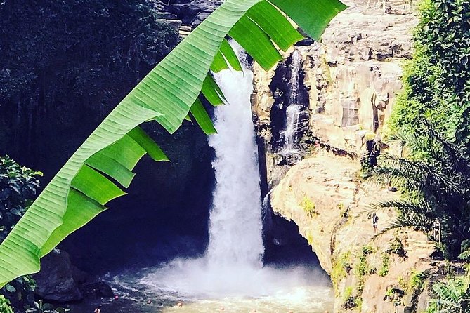 Ubud iconic waterfall and temple tours - Sacred Monkey Forest Sanctuary: a full hour among hundreds of monkeys