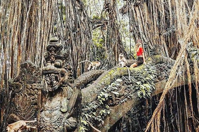 Ubud iconic waterfall and temple tours - Elephant Cave: an eleven-century heritage temple pause
