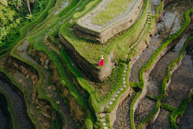 UBUD Instagram Spot Tour with Photographer - Price and Logistics From Ubud Central to Pepito Market Andong