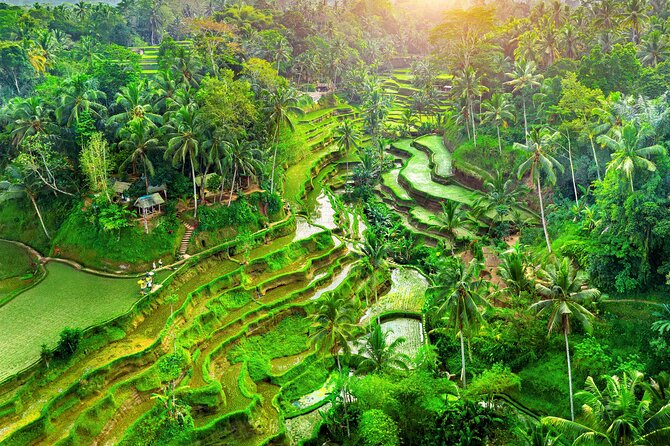 Ubud Jungle Adventure: Tirta Empul & Bali Swing - Key highlights that make this tour worth your time