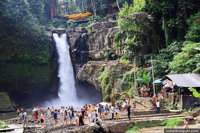 Ubud Jungle Cart Adventure + Volcano view Tour. - OKA Agriculture Bali coffee and tea tastings you can actually use