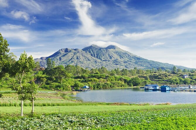 Ubud Jungle Cart Adventure + Volcano view Tour. - The guide factor: what makes this day feel smooth