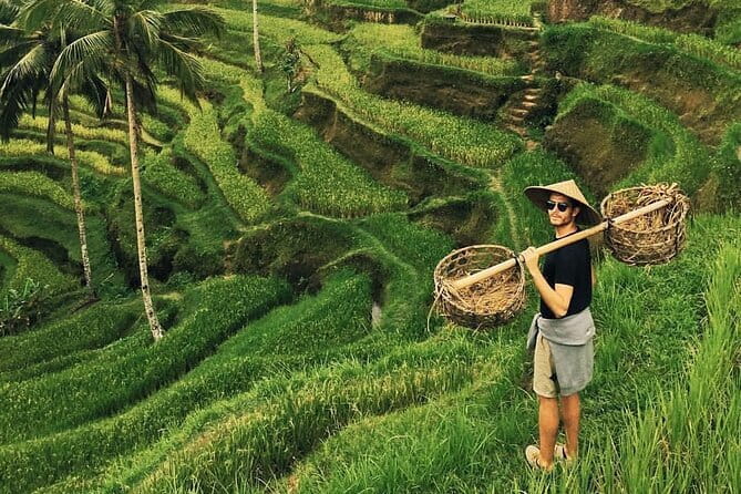 Ubud Jungle Swing - Monkey Forest - Water Temple - Waterfall - Key things to know before you go
