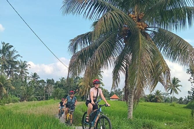 Ubud : Kintamani Downhill Cycling Tour with Lunch - Downhill Cycling From Bayung Gede: Where the Roads Get Quiet