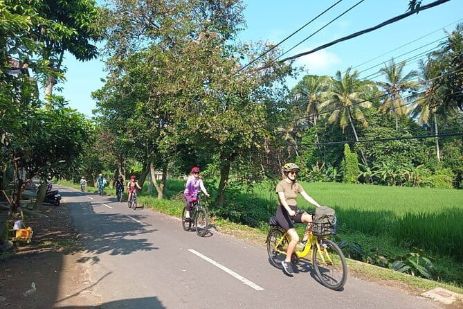Ubud : Kintamani Downhill Cycling Tour with Lunch - Professional, English-Speaking Guide and Small-Group Pace