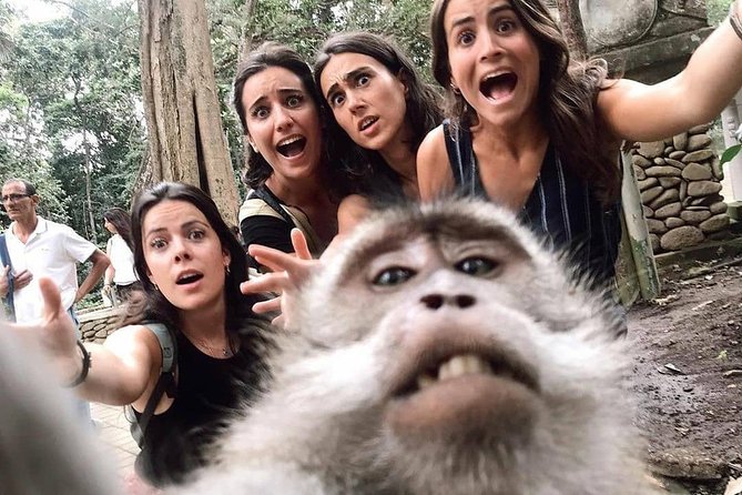 Ubud Monkey Forest, Holy Water Temple & Waterfalls Tours - Lunch at Waroeng D’Yoni: A Simple Reset With Local Food