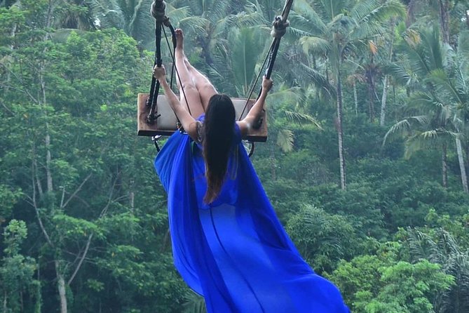 Ubud Monkey Forest, Holy Water Temple & Waterfalls Tours - Tegalalang Rice Terrace and the Irrigation Story You Can See