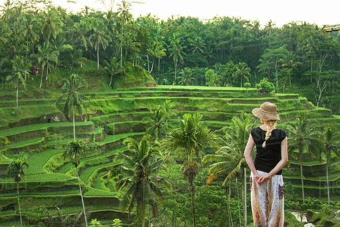 Ubud: Monkey Forest, Jungle Swing, Rice Terrace, and Water Temple - Price and what it really covers