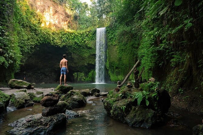 Ubud Monkey Forest Rice Terrace Temple Waterfall Private Tour - Stop 3: Tirta Empul Temple and Holy Spring Bathing