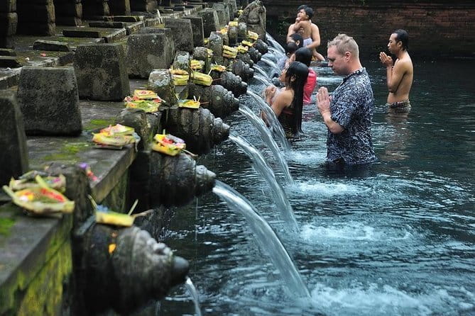 Ubud Monkey Forest Rice Terrace Temple Waterfall Private Tour - How the Private Guide Changes the Experience