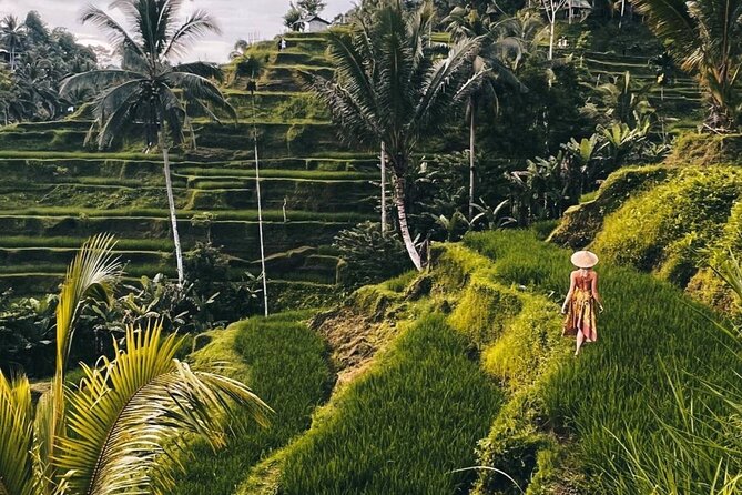 Ubud Monkey Forest, Rice Terrace & Tirta Empul Temple Tour - Key Highlights You’ll Actually Care About