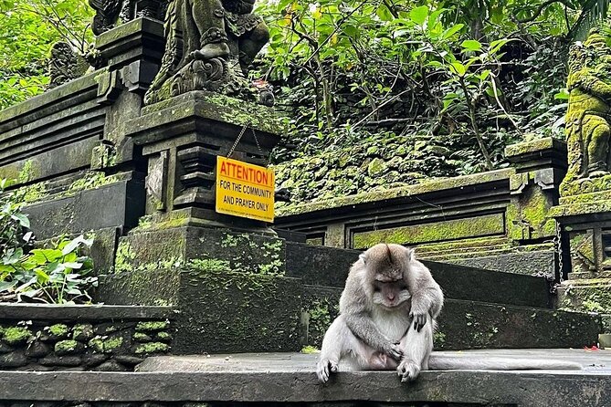 Ubud Monkey Forest, Rice Terrace & Tirta Empul Temple Tour - Tirta Empul Temple: The Holy Spring Water Moment