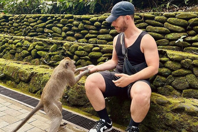 Ubud Monkey Forest, Rice Terrace & Tirta Empul Temple Tour - Sacred Monkey Forest Sanctuary: What to Expect With Long-Tailed Macaques