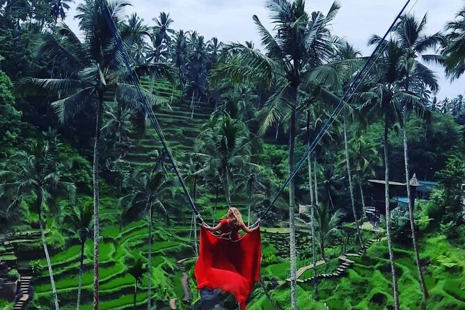 Ubud : Monkey Forest, Rice Terrace, Waterfall, Swing - Monkey Forest Sanctuary in Ubud, what you should expect