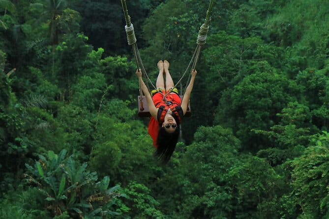 Ubud: Monkey Forest, Rice Terraces and Jungle Swing Tour - Sacred Monkey Forest Sanctuary: what you’re really signing up for