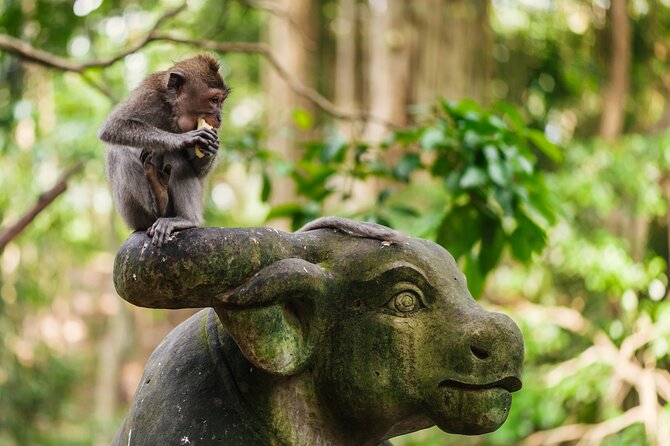Ubud: Monkey Forest, Rice Terraces & Sacred Temples - Goa Gajah Elephant Cave and Ubud Palace in one morning stretch