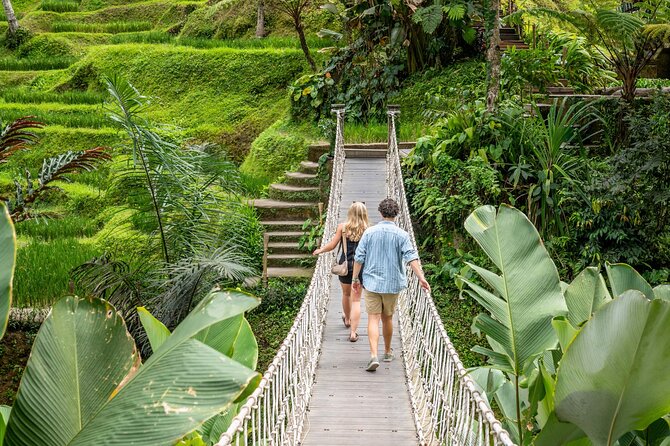 Ubud: Monkey Forest, Rice Terraces & Sacred Temples - Monkey Forest: seeing macaques up close without losing your cool