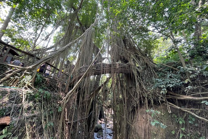 Ubud Monkey Forest Sanctuary Entrance Ticket All Inclusive - Inside the sanctuary: temples, statues, and sacred pools