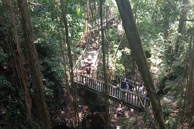 Ubud Monkey Forest Sanctuary Entrance Ticket All Inclusive - Price and value: is $36.67 fair for an all-inclusive day?