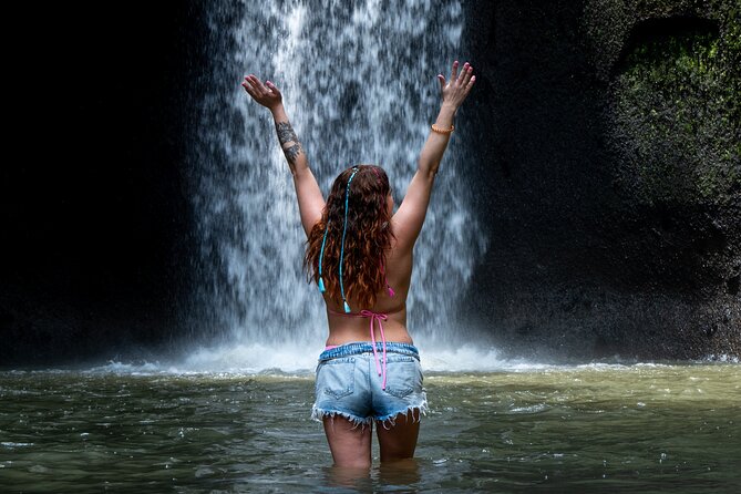 Ubud Monkey Forest, Scenic Rice Terrace with Swing and Waterfall - Key highlights to know before you go