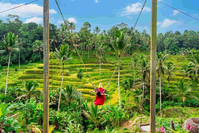 Ubud Private Chasing Waterfall and Water Temple Tour - Stop 4: Ubud Sari Coffee Luwak for a quick tasting with context