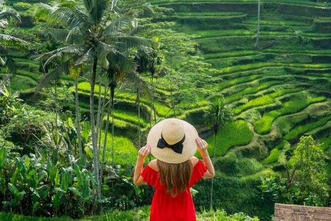 Ubud: Private Customized Highlights Tour - Choosing half-day (up to 6 hours) vs full-day (up to 9 hours)