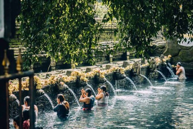 Ubud: Private Customized Highlights Tour - Small cultural detours you can add: coffee, plus flexible choices