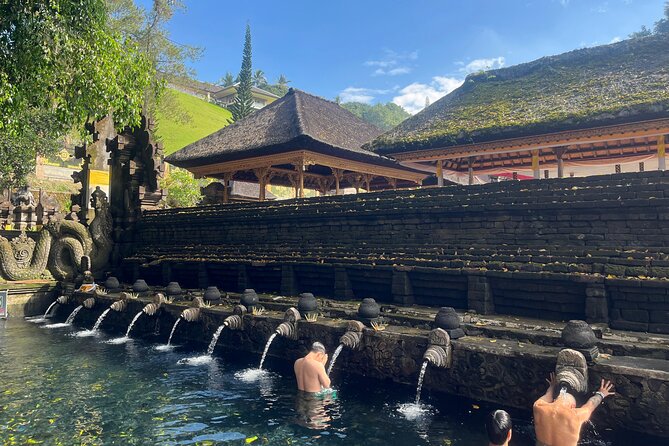 Ubud Private Nature and Temple Tour - Key highlights worth planning around