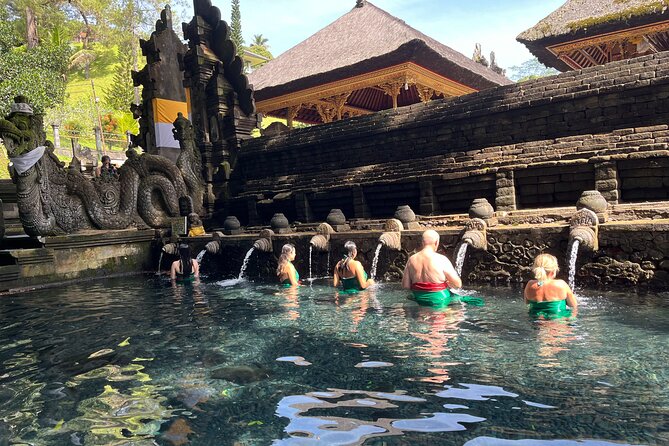 Ubud Private Nature and Temple Tour - What Your Money Really Gets: a Private Ubud Driver, Not Just Checkboxes