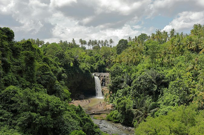 Ubud Private Nature and Temple Tour - Timing, Comfort, and What to Bring for an Easy Full Day