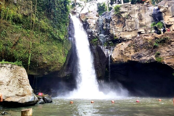 Ubud Private Tour : Best Of Ubud - Guided Tour - Tegalalang rice terraces and the subak irrigation system