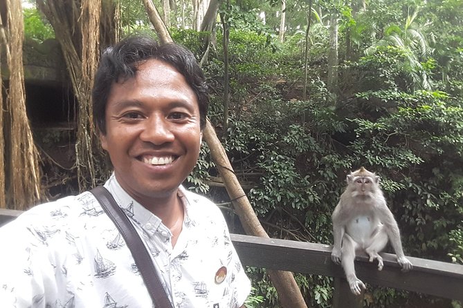 Ubud Private Tour : Best Of Ubud - Guided Tour - d’Alas Swing, jungle views, and how to do it without stress