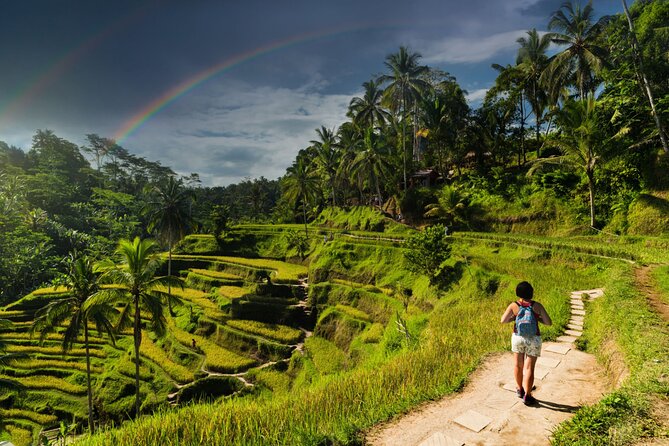 Ubud Private Tour: Monkey Forest - Tirta Empul Temple - Gianyar Street Night Market: dinner without the tourist-only menu